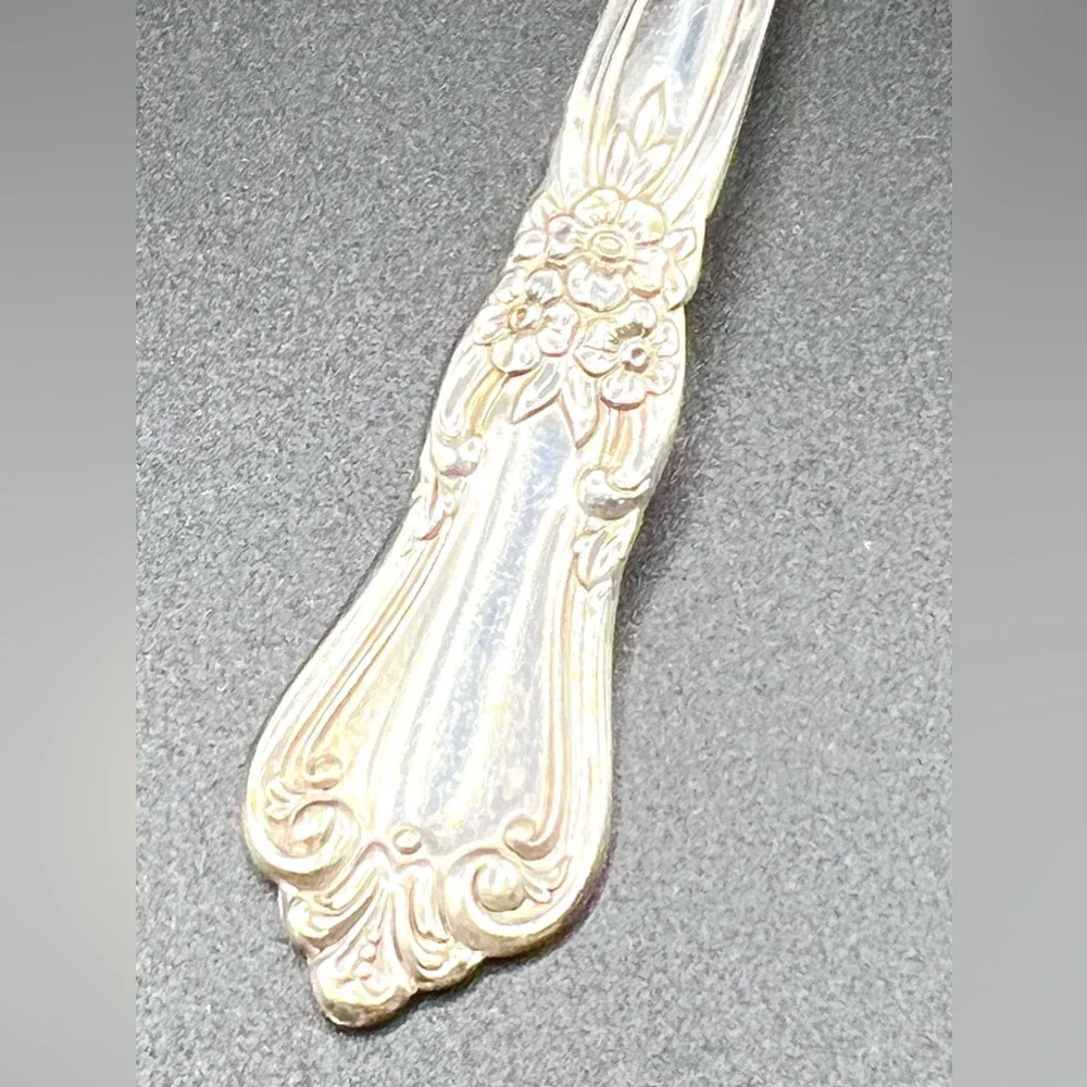 Vintage Wm A Rogers Oneida Silver Plated Vanessa Francesca Ladle Spoon 6.5 in